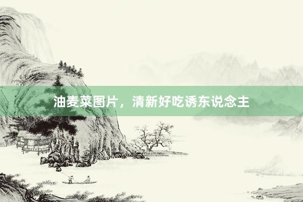 油麦菜图片，清新好吃诱东说念主